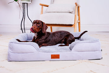 Snug n Woof | The Belgravia Washable Orthopaedic Dog Bed (M)