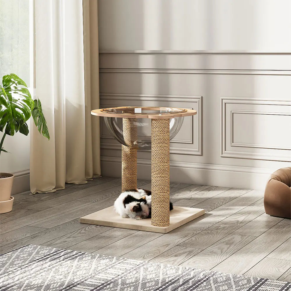 Sb90360df63dc4934a48691255348ce5ae