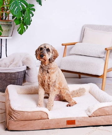 Snug n Woof | Washable Orthopaedic Dog Sofa Bed (L)