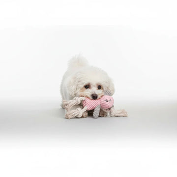 Sd591c4b4df3f4e69a1b6d6a520ec3f64O