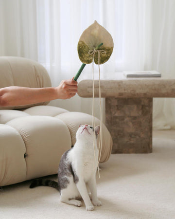 Catenary Home | Anthurium Wand