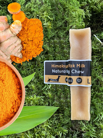 Floppy Ear | Turmeric Yak Dog Chew