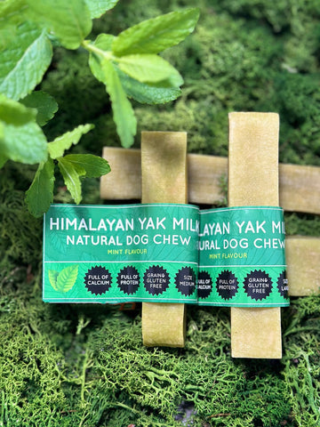 Floppy Ear | Mint Yak Dog Chew