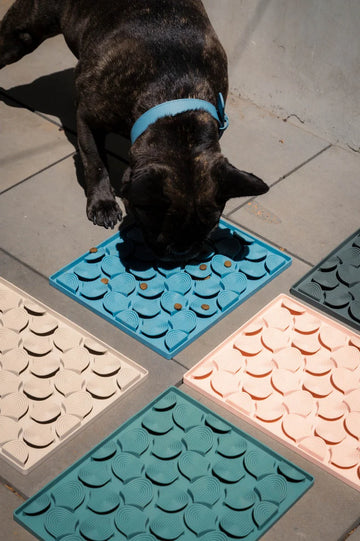 FuzzYard Life | Hide & Treat Mat