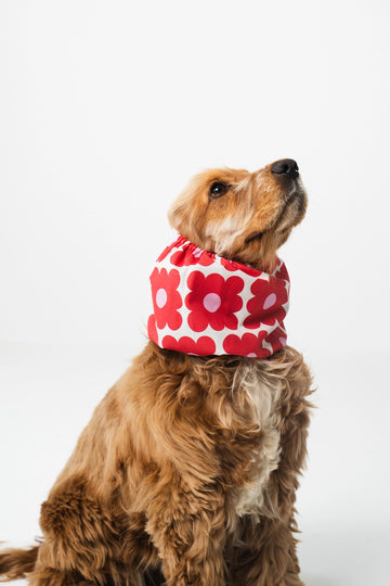 Lou and Co. | Dog Snood Retro Flowers