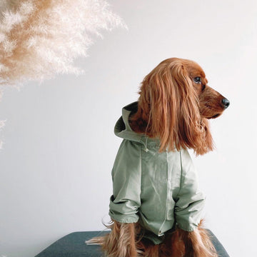 Over Glam | Four-Leg Rain Coat