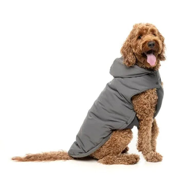 FuzzYard | Essential Grey Padded Jacket