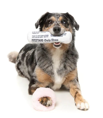 FuzzYard | Fetch My Slippers & Paper Set