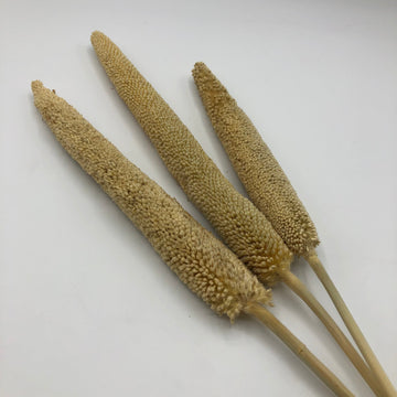 Hope's Healthy Treats | Pearl Millet Stems