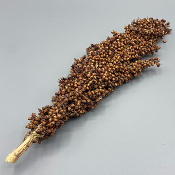 Hope's Healthy Treats | Red Sorghum Spray