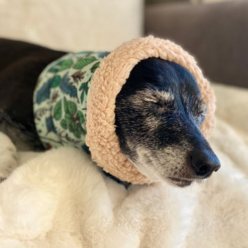 Hounds of Eden | Ferntastic Dog Snood