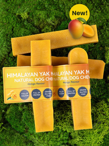 Floppy Ear | Mango Yak Dog Chew
