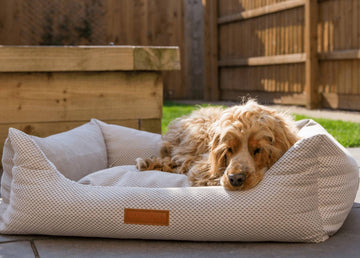 The Chatsworth | Luxury Memory Foam Dog Bed