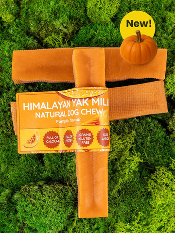 Floppy Ear | Pumpkin Yak Dog Chew