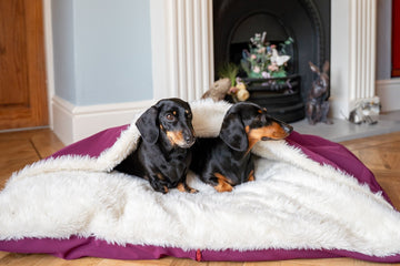 Hugo & Ted | Rainfleece Waterproof Dog Den Bed
