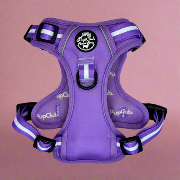 PupClub Couture | Rugged Rover™ Harness