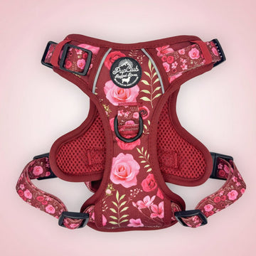 PupClub Couture | Rugged Rover™ Harness - Burgundy Bloom