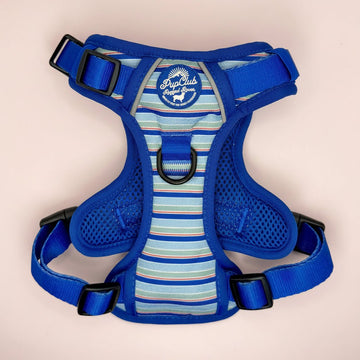 PupClub Couture | Rugged Rover™ Harness - Sea Breeze Stripes