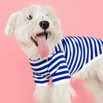 The Painter's Wife | Striped Dog T-Shirt - Portuguese Cotton