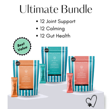 Pawer Water | The Ultimate Bundle