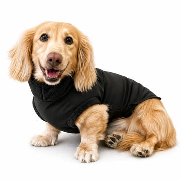 Hugo & Ted | Waterproof Rainfleece Dog Coat